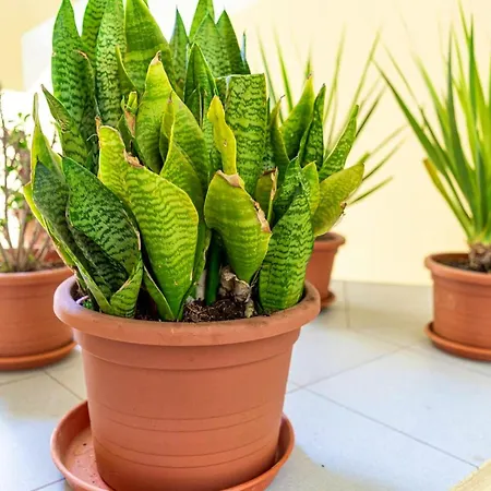 Appartement Cosy In 40 M² Close To The Corralejo