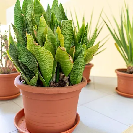 Cosy In - 40 M² - Close To The * Corralejo