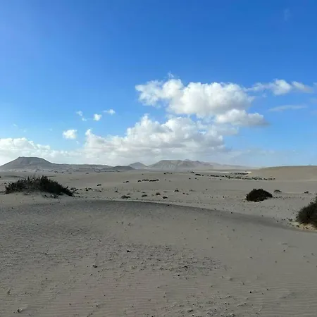 Cosy In - 40 M² - Close To The *