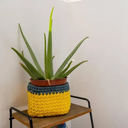 아파트 Cosy In - 40 M² - Close To The *